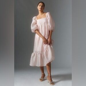 NWT Anthropologie Textured Puff Sleeve Dress - XL